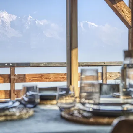 Face Au Mont-blanc Sallanches