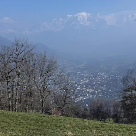 Face Au Mont-blanc